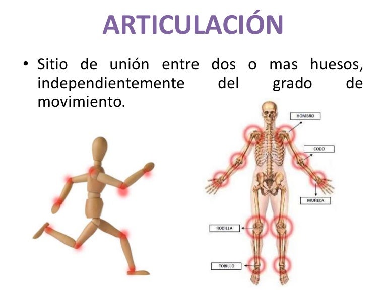 Piernas las que intervienen musculos abrir y cerrar
